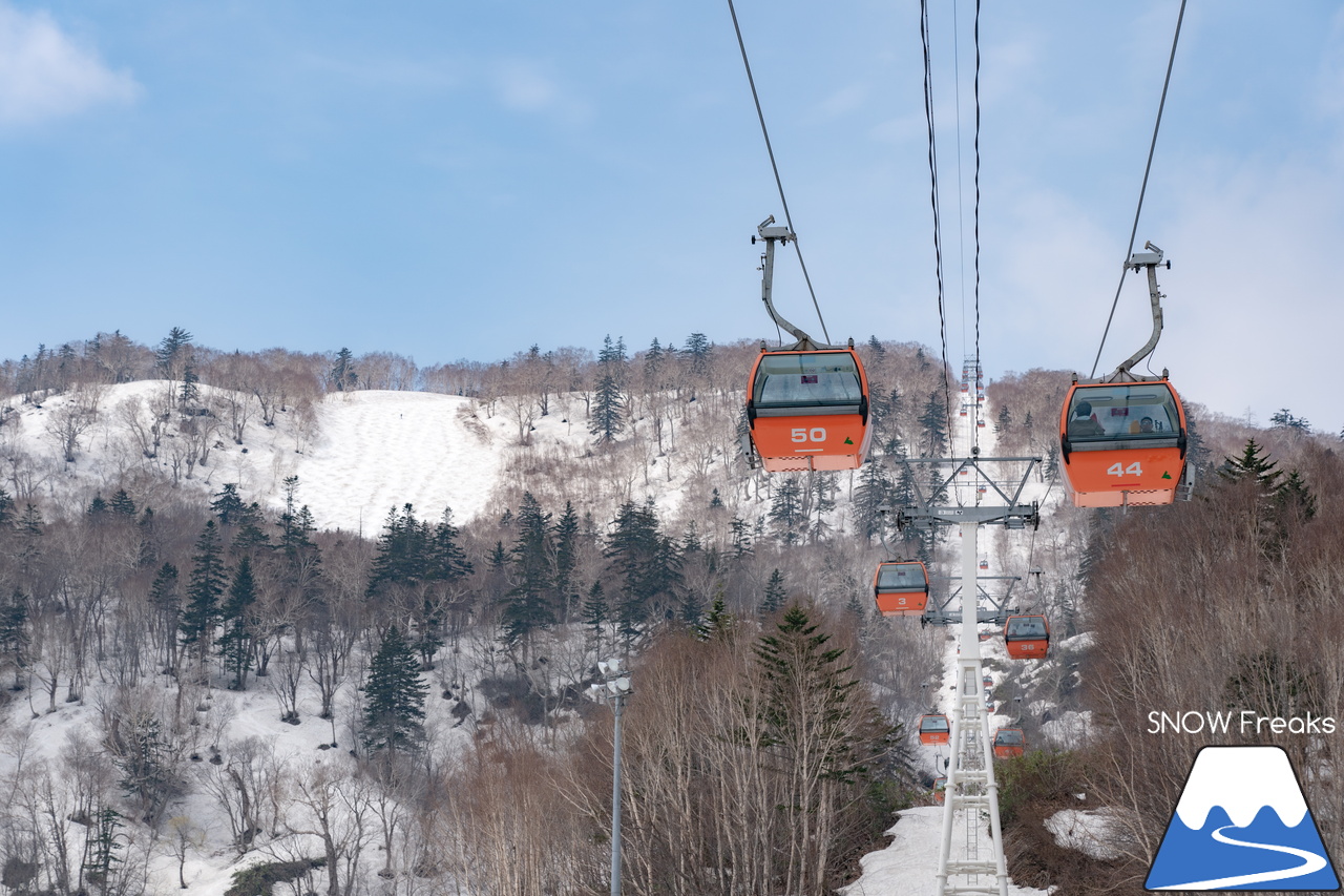 札幌国際スキー場｜2023・ゴールデンウィークがスタート！心配された雪ですが…。大丈夫、ちゃんと残ってくれました(^_-)-☆